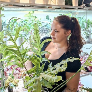 Логотип @rassada_kem - Коллекция растений Катерины Ершовой