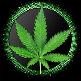 Логотип @rasstts - Rast