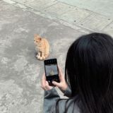 Логотип @rassvetlovess - место жизни🪷