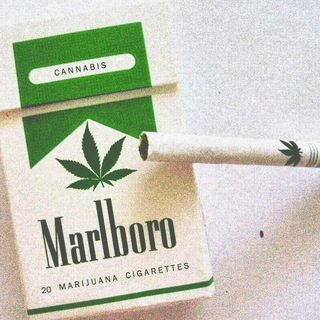 Логотип @rasta_muz - Music 🤙