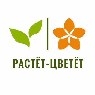 Логотип @rastcvet - Растёт-Цветёт | Доставка цветов | Рязань | Тула