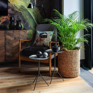 Логотип @rasteniya_v_interiere - Растения в интерьере🪴