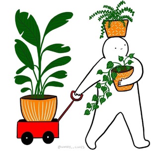 Логотип @rasti_rastenya - Master_Plant
