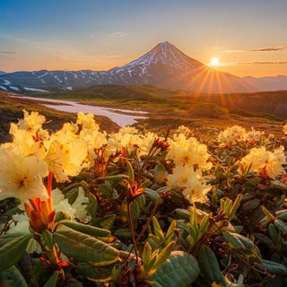 Логотип @ratbud - Kamphototour