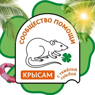 Логотип @ratfund - Сообщество помощи крысам с тяжелой судьбой