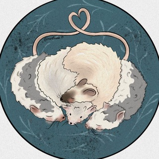 Логотип @ratloona - Ratloona