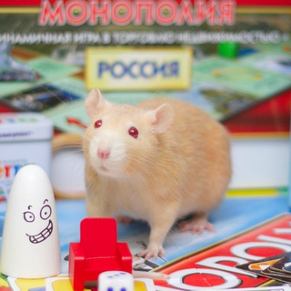 Логотип @ratmoscow_group - ratmoscow