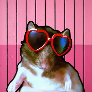 Логотип @ratshopview - Крыса на шопинге