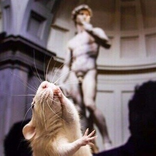 Логотип @ratspets - Крісулькени 🇺🇦