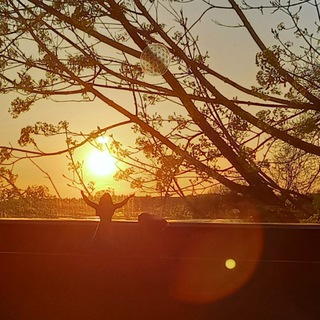 Логотип @raumzumsein - Raum zum Sein 🌳