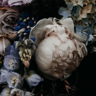 Логотип @ravenren - ren's house