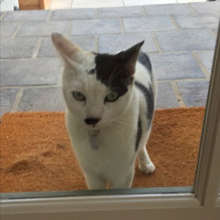 Логотип @rawmilkkk - 𝐑࿕𝐰 𝐌𝐢𝐥𝐤 𝐑࿕𝐜𝐢𝐬𝐦