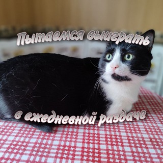 Логотип @razdachagd - Привет пукай нюхай