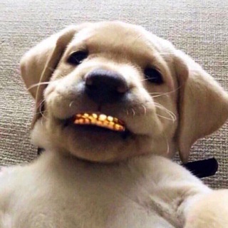 Логотип @razercybersport - Ювелирка Рейзера💎