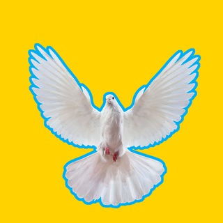 Логотип @raznayahrrren - NA