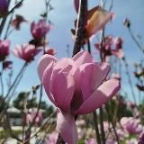 Логотип @raznieist - РАЗНЫЕ ИСТОРИИ