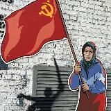 Логотип @razvedkatilovaya - .