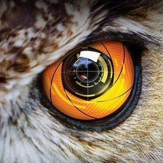 Логотип @razvedpolet_talk - Чат РазведПолёта