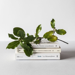 Логотип @rbk135 - Твоя книга 📚