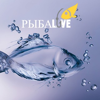 Логотип @rblbalove - Рыбалка | РыбаLove🐟