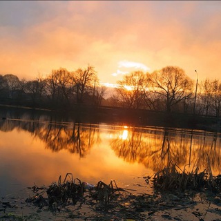 Логотип @rblbochat - РыбоЧат