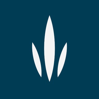 Логотип @rd_content - Русский Динозавр: книгоиздание и арт-контент под ключ