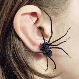 Логотип @rd_kl - 🕷🦻🏿RDKL🧬🦈