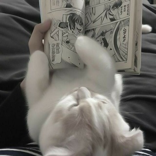 Логотип @rdno_shopik - ִ ࣪ ۪ 🍙 ָ֢ !!ⲙ︩𐐼ִટִ𐐼ִӡִׄꭎ𝆬ʜִӌꭎ𝆬ӄִׄ ρ‌ꬶʜִꪮ☁️ ࣪ ۪ 𐚁̸ ֺ۪