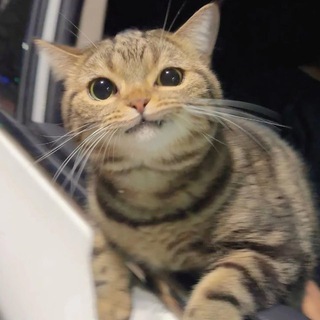 Логотип @readanddontjudge - Читаем и не осуждаем