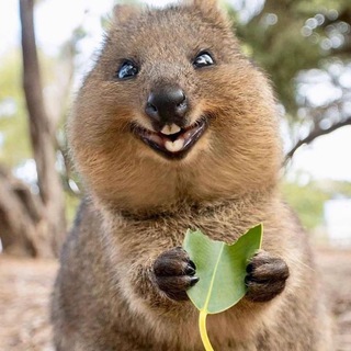 Логотип @readanekdots - Анекдоты