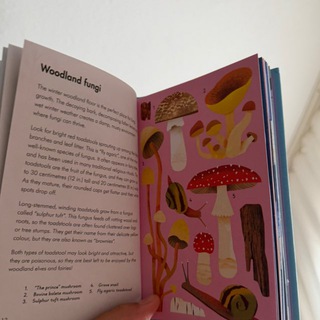 Логотип @readbookswithmokhira - English books for children