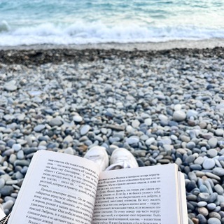 Логотип @reading_dzery - *Дзера читает*