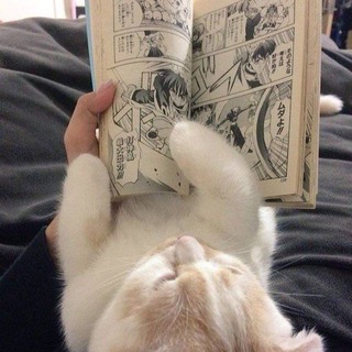 Логотип @reading_is_sexxxy - reading manga