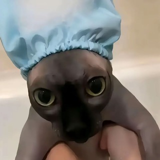 Логотип @reaiiyworld - Новый канал - https://t.me/pwuxb