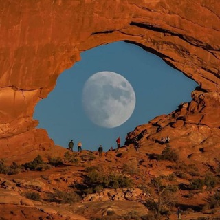 Логотип @real_ermolive - Real Ermolive