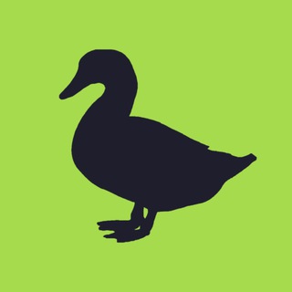 Логотип @realduckinvestments - Duck Investments🦆