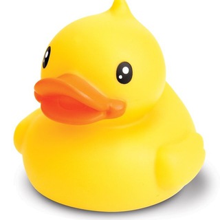 Логотип @realducktales - Утиные истории