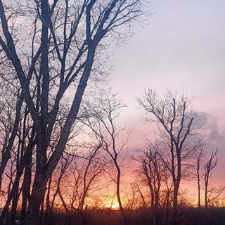 Логотип @realeasyfood - Еда резерв