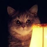 Логотип @realhistorys - Реальные истории настоящих людей