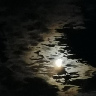 Логотип @realitaetborna - Der kleine Bär/Berichte aus BQrna 😎