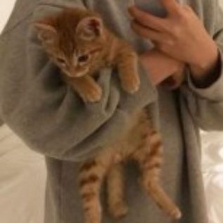 Логотип @reality_shifting - тайны шифтинга