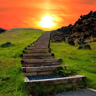 Логотип @realityroad - ДОРОГА РЕАЛЬНОСТИ - Подпишись и поделись