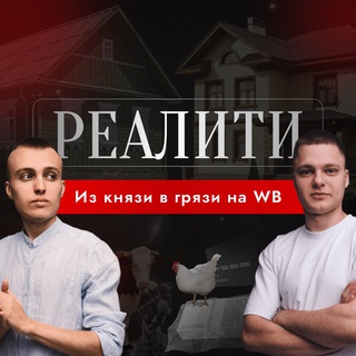 Логотип @realitywbshniki - РЕАЛИТИ: Из князи в грязи на WB