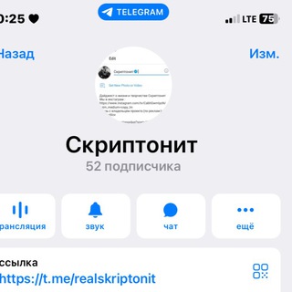 Логотип @realskriptonit - Скриптонит ️