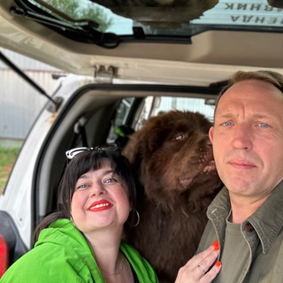 Логотип @realtoralinapravo - РиэлторАлина Правоторина(Степанова)