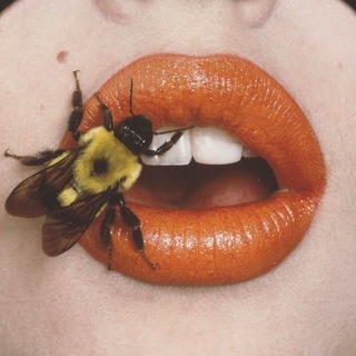 Логотип @realtriviality - triviality