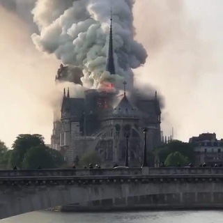 Логотип @reanimatziya - Реанимация