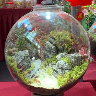 Логотип @reauthoringourselves - Восстановление авторства жизни