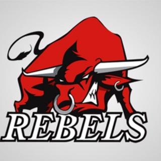 Логотип @rebels_monitoring_chat - Rebels HYPE - Chat