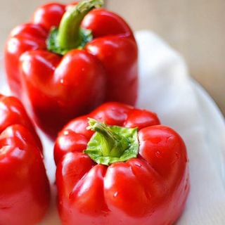 Логотип @recept1000 - ДАЙ РЕЦЕПТИК